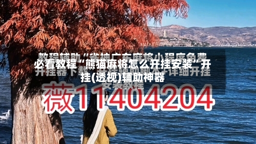 必看教程“熊猫麻将怎么开挂安装	”开挂(透视)辅助神器-第1张图片