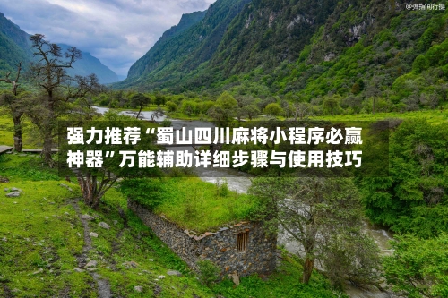 强力推荐“蜀山四川麻将小程序必赢神器	”万能辅助详细步骤与使用技巧-第2张图片