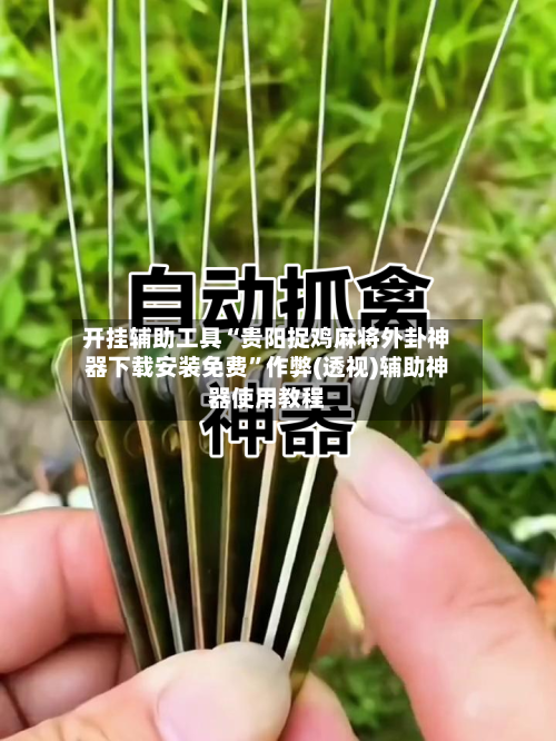 开挂辅助工具“贵阳捉鸡麻将外卦神器下载安装免费”作弊(透视)辅助神器使用教程-第2张图片