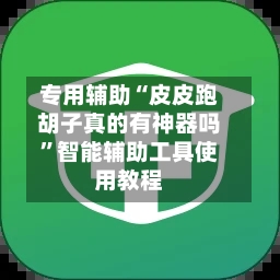 专用辅助“皮皮跑胡子真的有神器吗”智能辅助工具使用教程-第1张图片