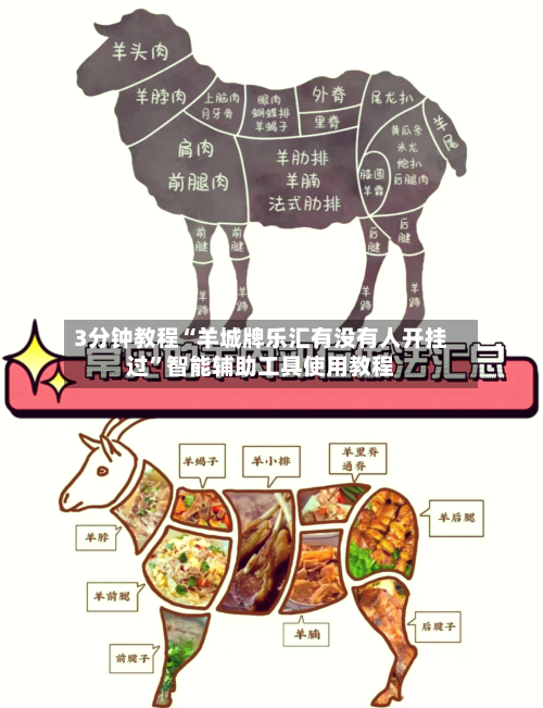 3分钟教程“羊城牌乐汇有没有人开挂过”智能辅助工具使用教程-第1张图片