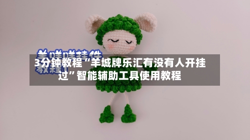 3分钟教程“羊城牌乐汇有没有人开挂过”智能辅助工具使用教程-第3张图片