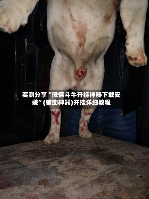 实测分享“微信斗牛开挂神器下载安装	”(辅助神器)开挂详细教程-第2张图片