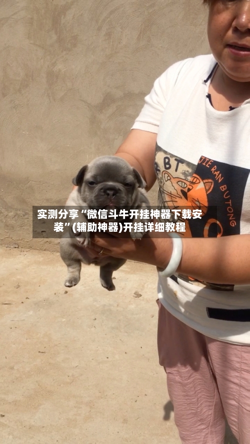 实测分享“微信斗牛开挂神器下载安装”(辅助神器)开挂详细教程-第1张图片