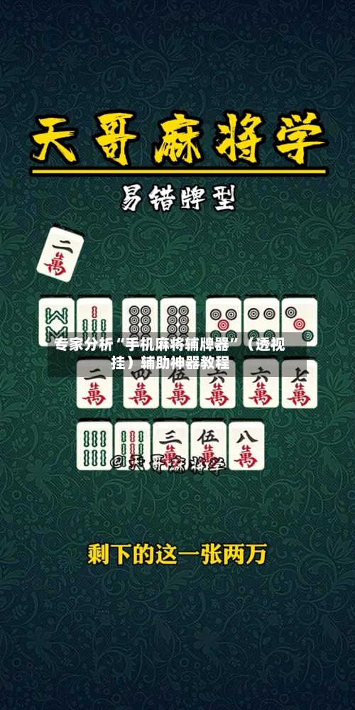 专家分析“手机麻将辅牌器”（透视挂）辅助神器教程-第3张图片