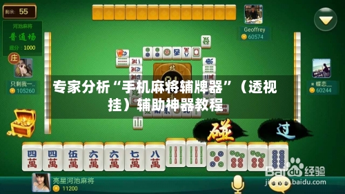 专家分析“手机麻将辅牌器”（透视挂）辅助神器教程-第1张图片