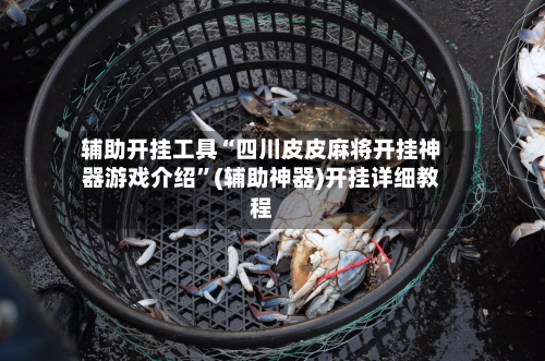 辅助开挂工具“四川皮皮麻将开挂神器游戏介绍”(辅助神器)开挂详细教程-第3张图片