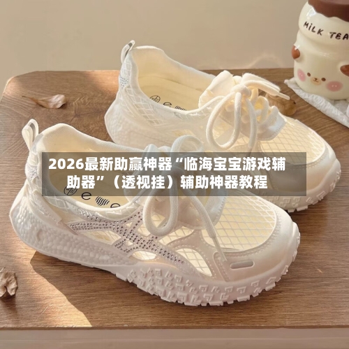 2026最新助赢神器“临海宝宝游戏辅助器”（透视挂）辅助神器教程-第3张图片