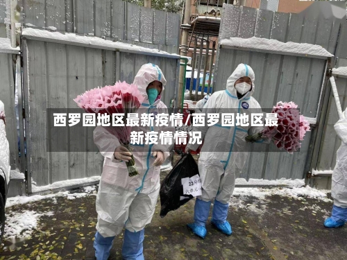西罗园地区最新疫情/西罗园地区最新疫情情况-第1张图片