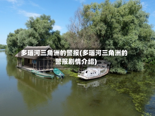 多瑙河三角洲的警报(多瑙河三角洲的警报剧情介绍)-第2张图片
