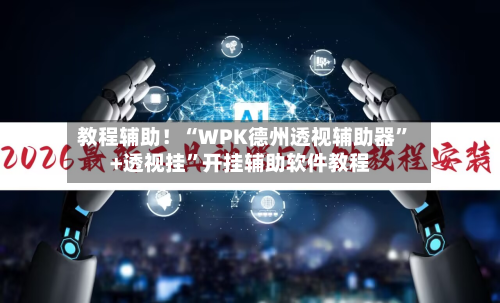 教程辅助！“WPK德州透视辅助器”+透视挂	”开挂辅助软件教程-第3张图片