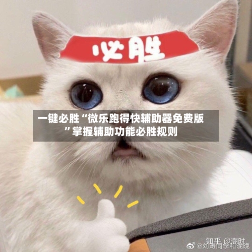 一键必胜“微乐跑得快辅助器免费版”掌握辅助功能必胜规则-第3张图片