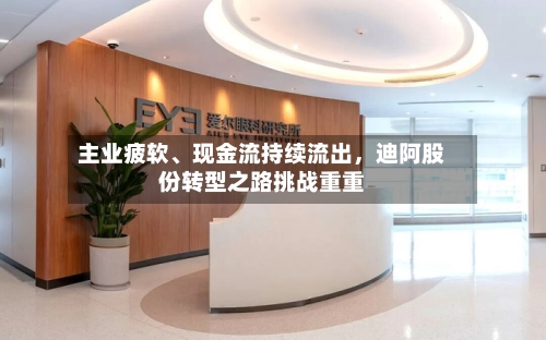 主业疲软	、现金流持续流出，迪阿股份转型之路挑战重重-第1张图片