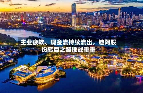 主业疲软、现金流持续流出，迪阿股份转型之路挑战重重-第2张图片