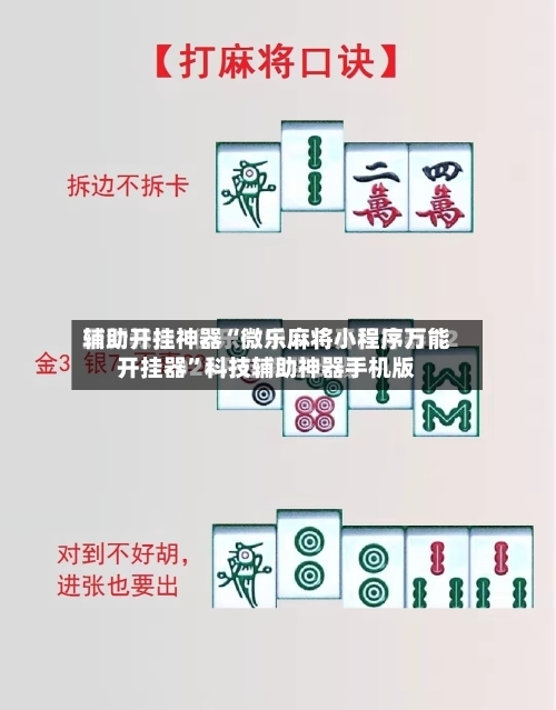 辅助开挂神器“微乐麻将小程序万能开挂器”科技辅助神器手机版-第3张图片