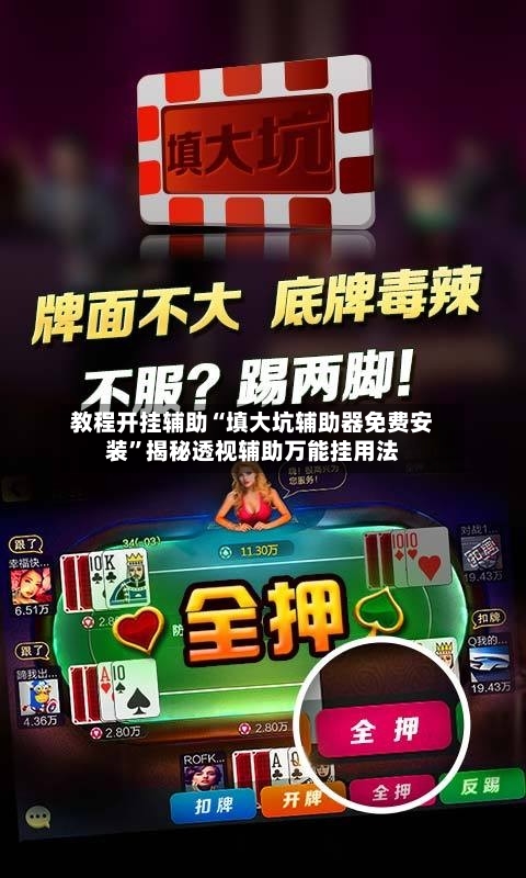 教程开挂辅助“填大坑辅助器免费安装”揭秘透视辅助万能挂用法-第1张图片