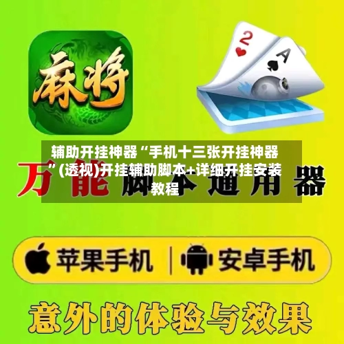 辅助开挂神器“手机十三张开挂神器	”(透视)开挂辅助脚本+详细开挂安装教程-第1张图片