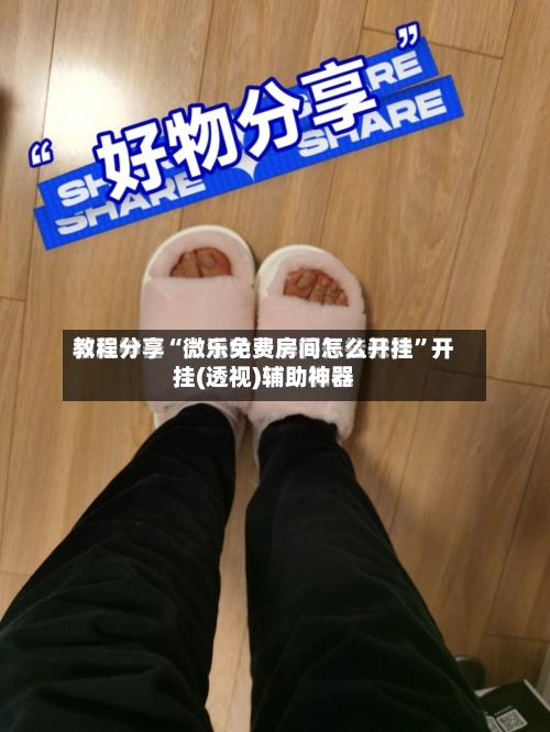 教程分享“微乐免费房间怎么开挂”开挂(透视)辅助神器-第2张图片