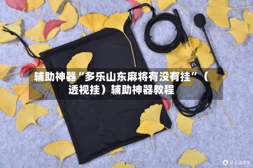 辅助神器“多乐山东麻将有没有挂”（透视挂）辅助神器教程-第2张图片