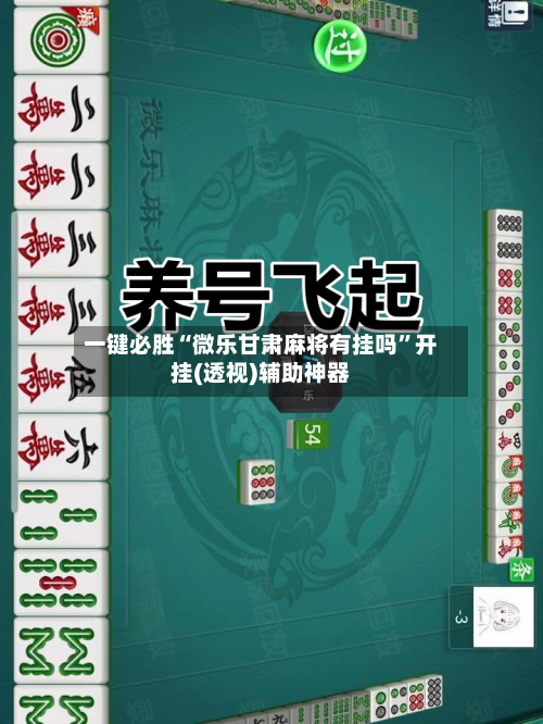 一键必胜“微乐甘肃麻将有挂吗”开挂(透视)辅助神器-第3张图片