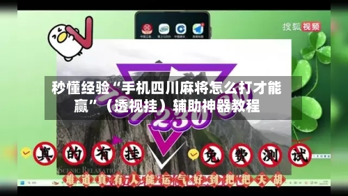 秒懂经验“手机四川麻将怎么打才能赢”（透视挂）辅助神器教程-第2张图片