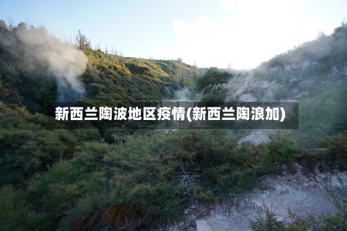 新西兰陶波地区疫情(新西兰陶浪加)-第2张图片