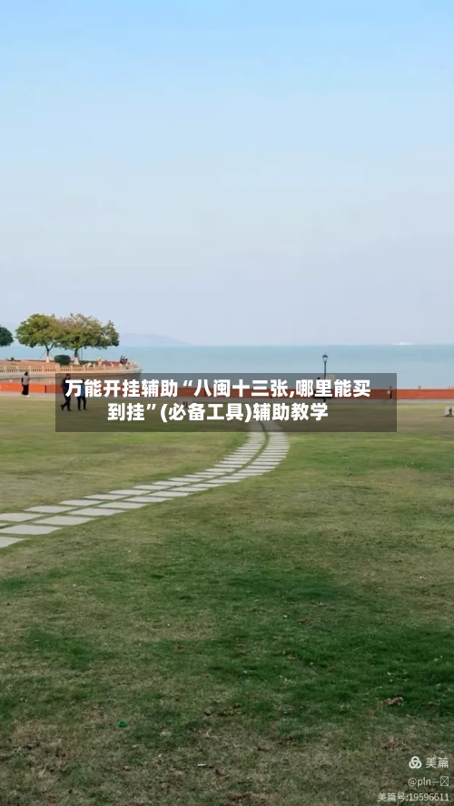 万能开挂辅助“八闽十三张,哪里能买到挂	”(必备工具)辅助教学-第2张图片