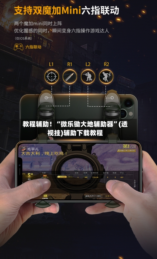 教程辅助！“微乐锄大地辅助器”(透视挂)辅助下载教程-第3张图片