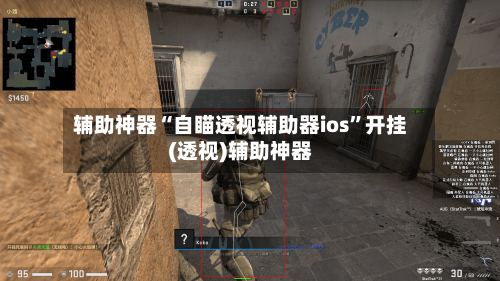 辅助神器“自瞄透视辅助器ios	”开挂(透视)辅助神器-第1张图片