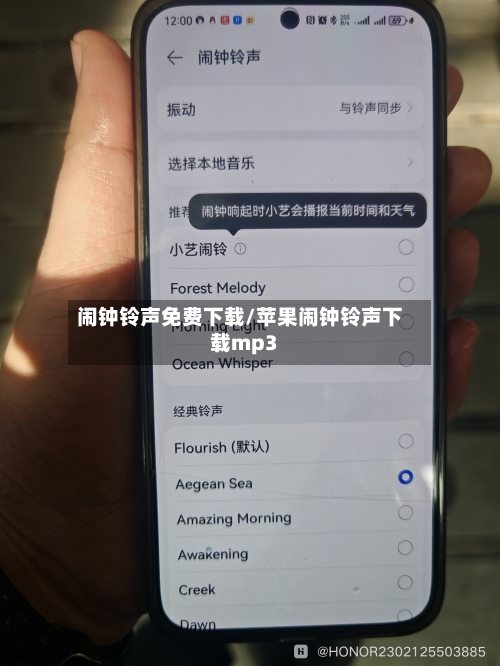 闹钟铃声免费下载/苹果闹钟铃声下载mp3-第1张图片