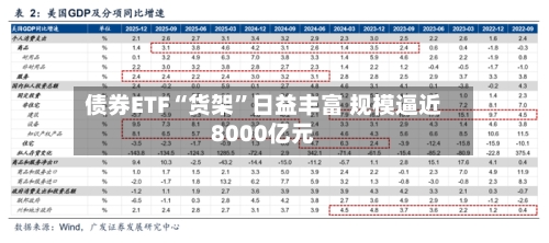 债券ETF“货架	”日益丰富 规模逼近8000亿元-第2张图片