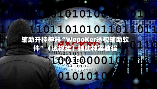 辅助开挂神器“WepoKer透视辅助软件”（透视挂）辅助神器教程-第1张图片