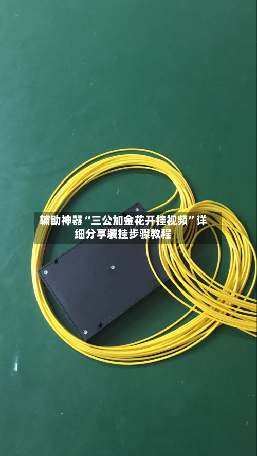 辅助神器“三公加金花开挂视频”详细分享装挂步骤教程-第1张图片