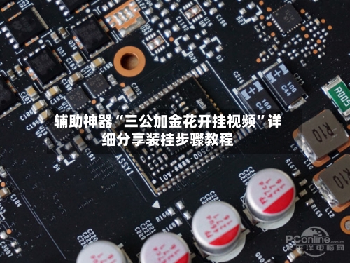 辅助神器“三公加金花开挂视频	”详细分享装挂步骤教程-第2张图片