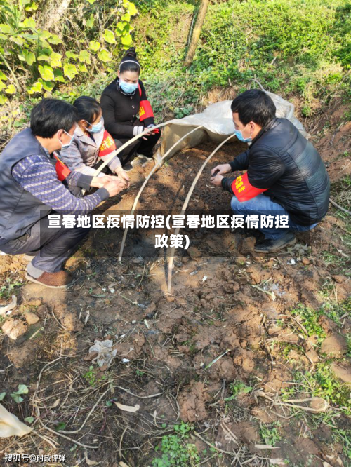 宣春地区疫情防控(宣春地区疫情防控政策)-第2张图片