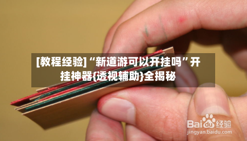 [教程经验]“新道游可以开挂吗”开挂神器{透视辅助}全揭秘-第3张图片