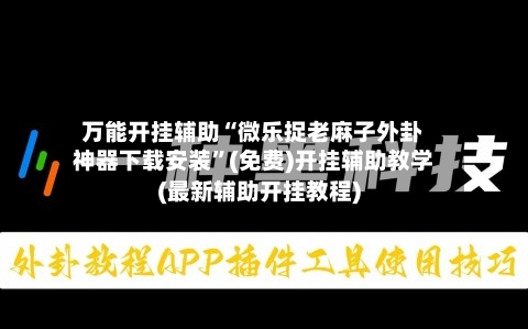 万能开挂辅助“微乐捉老麻子外卦神器下载安装”(免费)开挂辅助教学(最新辅助开挂教程)-第3张图片