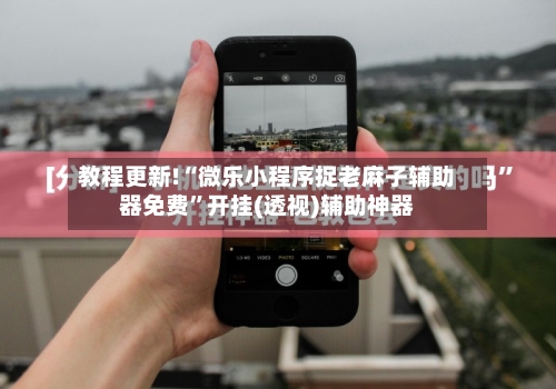 教程更新!“微乐小程序捉老麻子辅助器免费	”开挂(透视)辅助神器-第1张图片