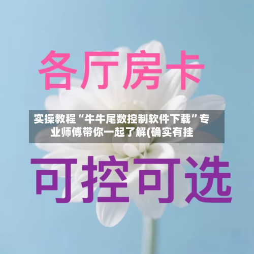 实操教程“牛牛尾数控制软件下载	”专业师傅带你一起了解(确实有挂-第1张图片