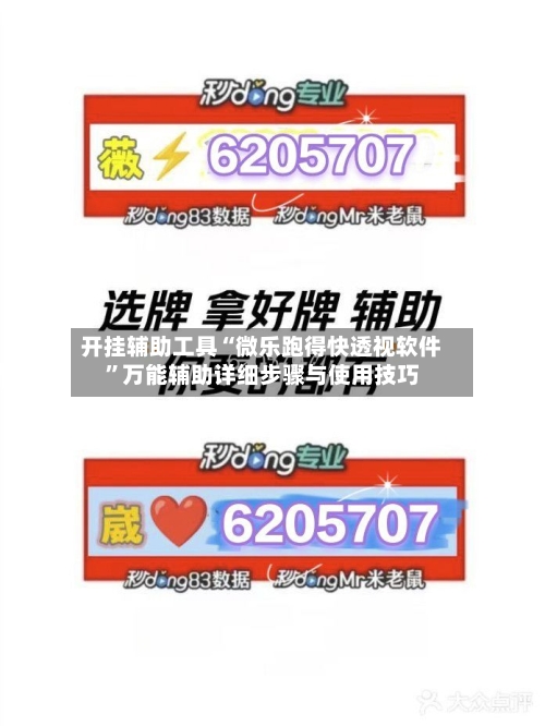 开挂辅助工具“微乐跑得快透视软件”万能辅助详细步骤与使用技巧-第2张图片