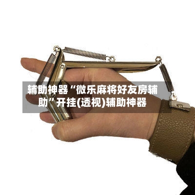 辅助神器“微乐麻将好友房辅助	”开挂(透视)辅助神器-第2张图片
