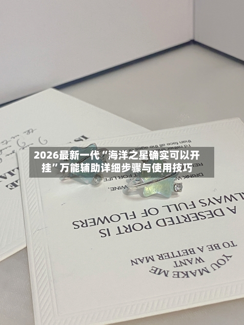 2026最新一代“海洋之星确实可以开挂”万能辅助详细步骤与使用技巧-第2张图片