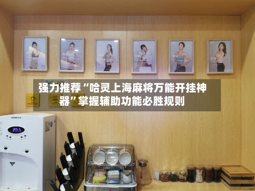 强力推荐“哈灵上海麻将万能开挂神器	”掌握辅助功能必胜规则-第1张图片