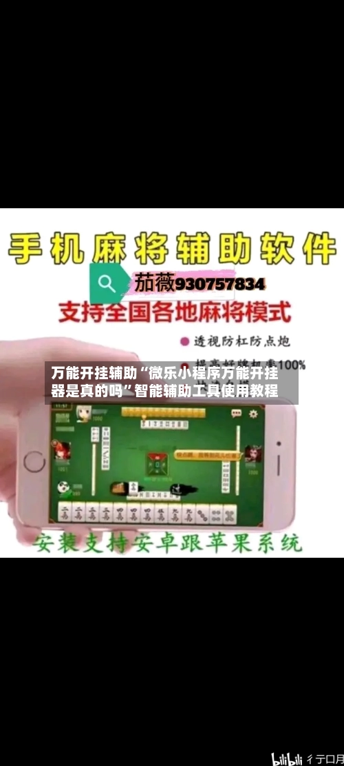 万能开挂辅助“微乐小程序万能开挂器是真的吗”智能辅助工具使用教程-第1张图片