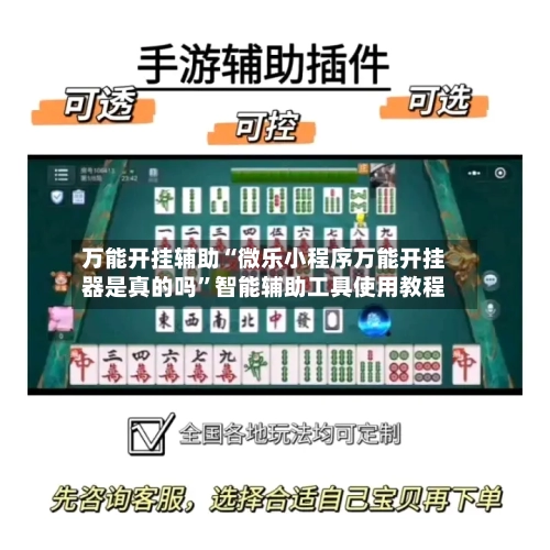 万能开挂辅助“微乐小程序万能开挂器是真的吗”智能辅助工具使用教程-第3张图片