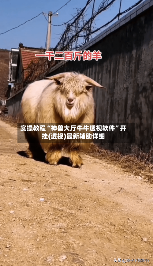 实操教程“神兽大厅牛牛透视软件”开挂(透视)最新辅助详细-第1张图片