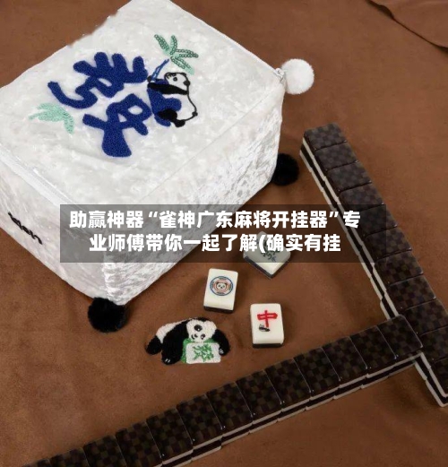 助赢神器“雀神广东麻将开挂器”专业师傅带你一起了解(确实有挂-第1张图片
