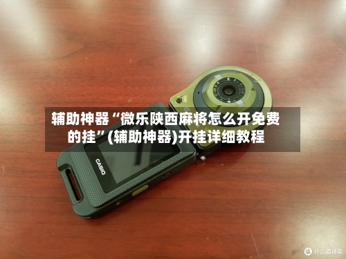 辅助神器“微乐陕西麻将怎么开免费的挂”(辅助神器)开挂详细教程-第3张图片