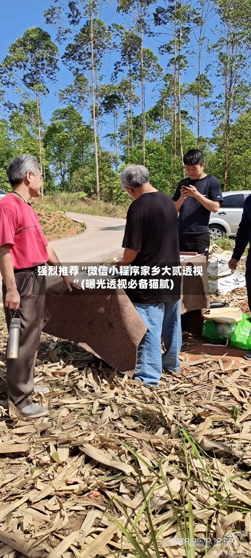 强烈推荐“微信小程序家乡大贰透视”(曝光透视必备猫腻)-第1张图片