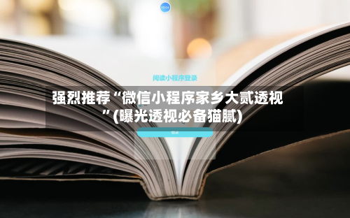 强烈推荐“微信小程序家乡大贰透视”(曝光透视必备猫腻)-第2张图片